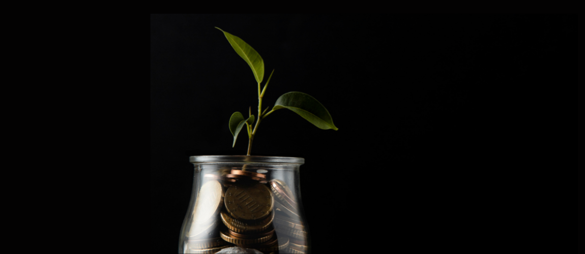 Black-Background-Green-Plant-In-Jar-Of-Money