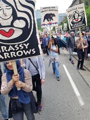 Grassy Photo 5 edit Grassy Photo 5 edit